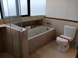 The Draycott (D10), Apartment #617673881